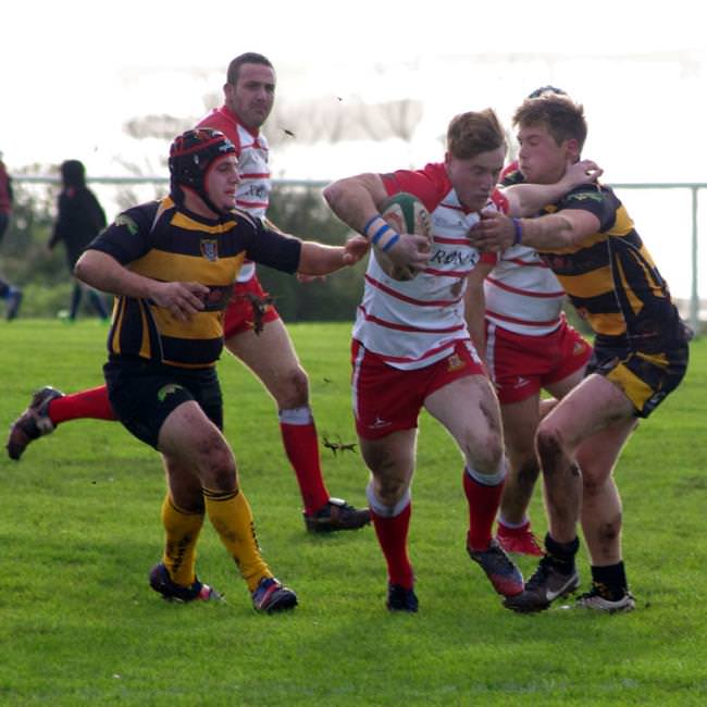 Rugby Reports 7th November 2015